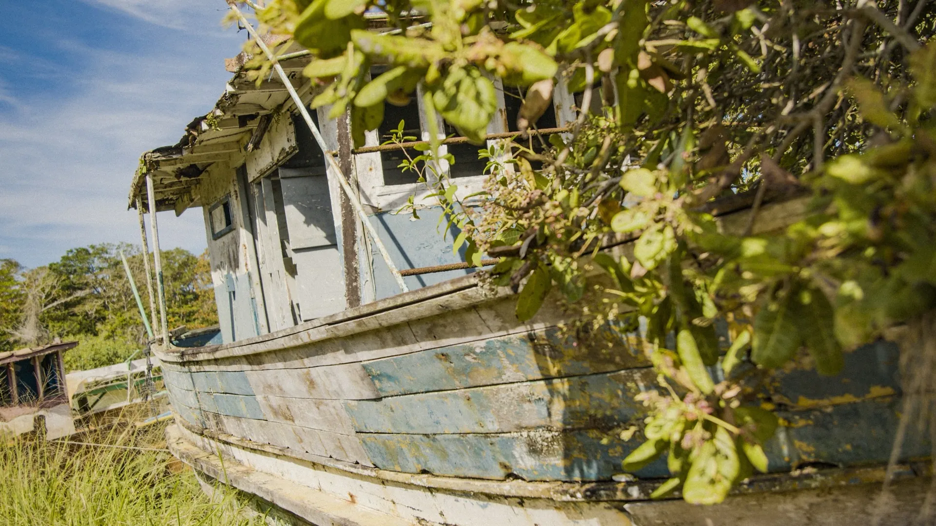 Habitat em Ameaça